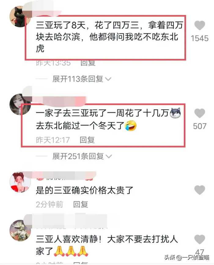 狂揽887亿！三亚哭了：磨刀一年，南方小土豆为何都跑去了哈尔滨