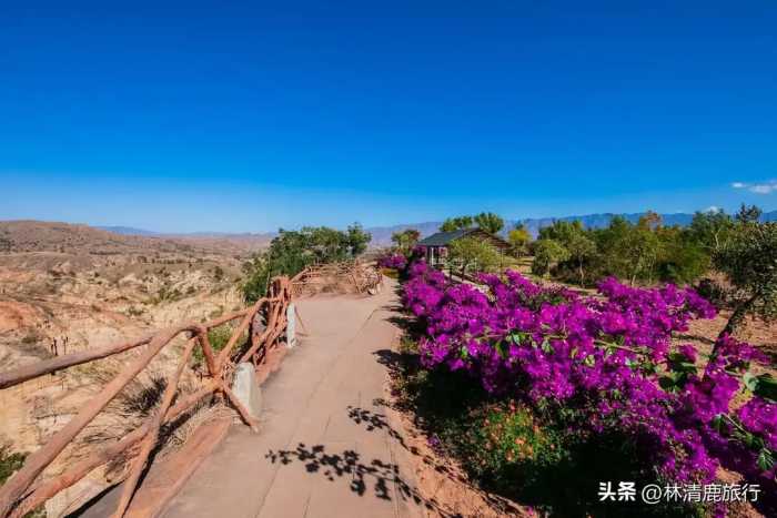 云南这座美丽小城，冬天可达30°C，物价低，四季养老很舒服