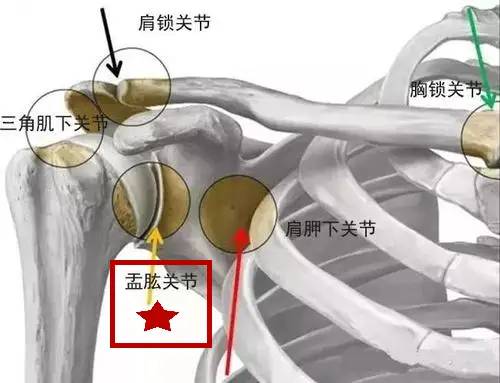 肩周炎的5种症状及7个特征，避免误诊，怎么治疗医生告诉你