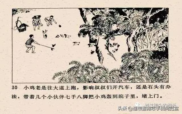 《小兵东东》