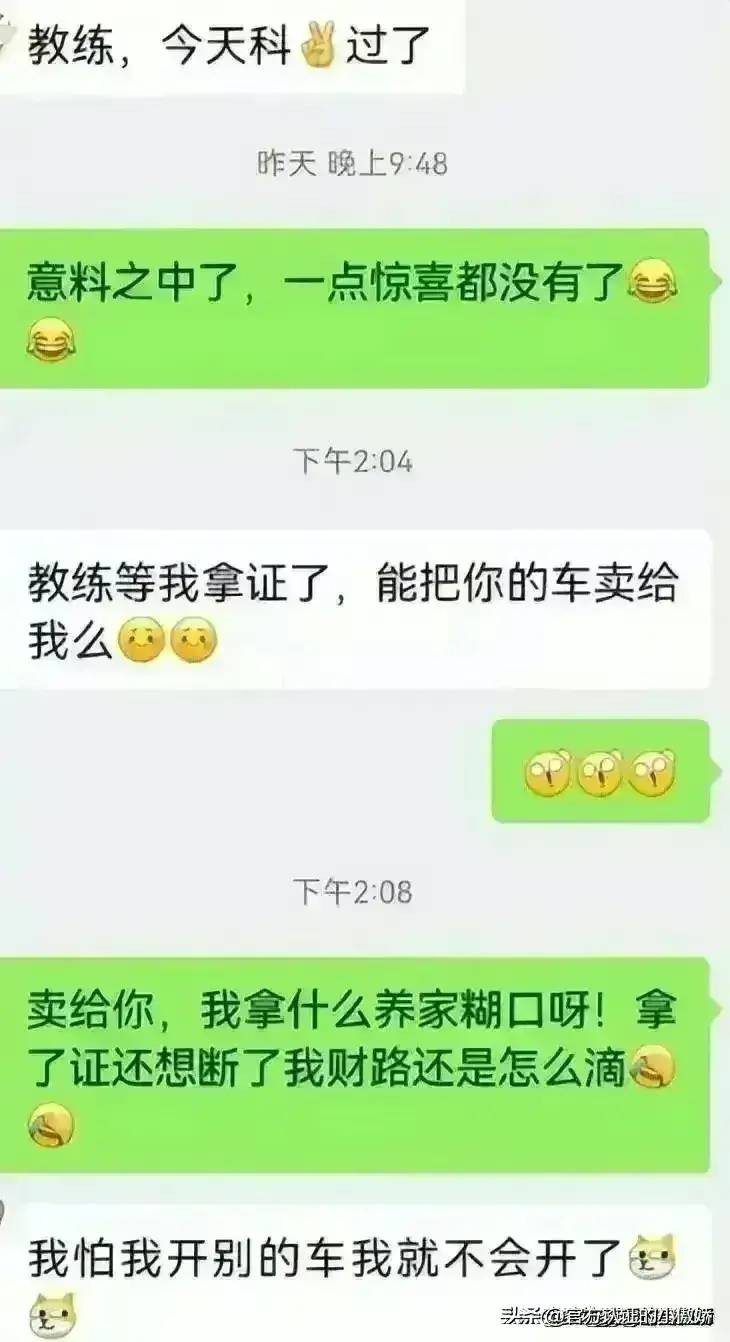 驾校教练和学员的聊天尺度都这么大了！看完网友评论，我三观塌了