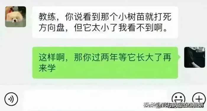 驾校教练和学员的聊天尺度都这么大了！看完网友评论，我三观塌了